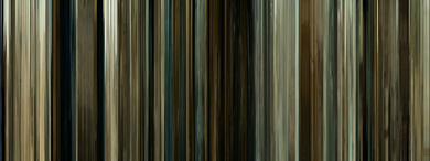 MovieBarCode-No_Country_For_Old_Men-01.jpg